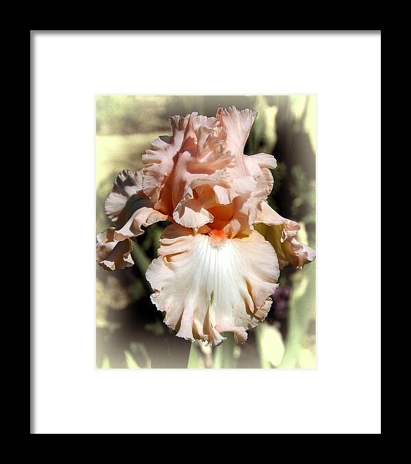 Monochrome Framed Print featuring the photograph Iris by Fran Woods