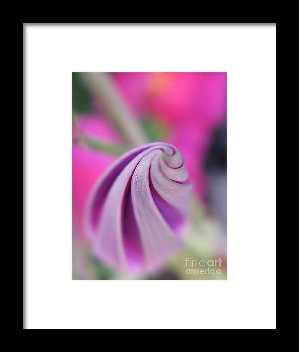 Flower Framed Print featuring the photograph Irresistable Photography by Holy Hands