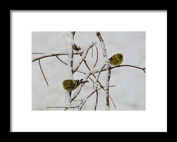 Usa Framed Print featuring the photograph Is it snowing on your side by LeeAnn McLaneGoetz McLaneGoetzStudioLLCcom