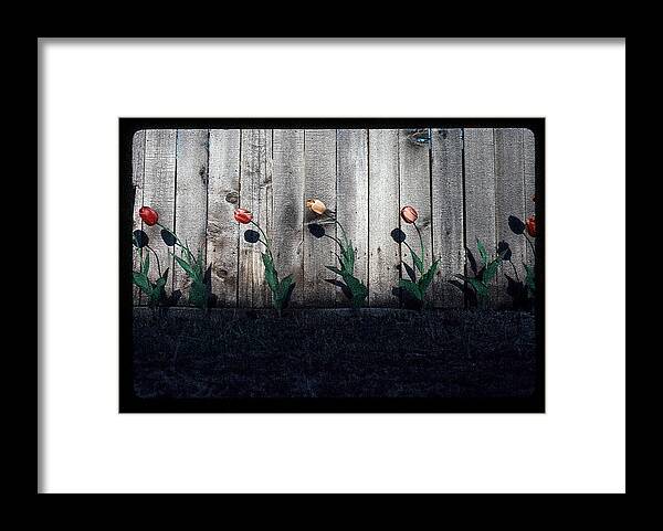Tulip Photographs Framed Print featuring the photograph Is It Spring Yet? by Greg Kopriva