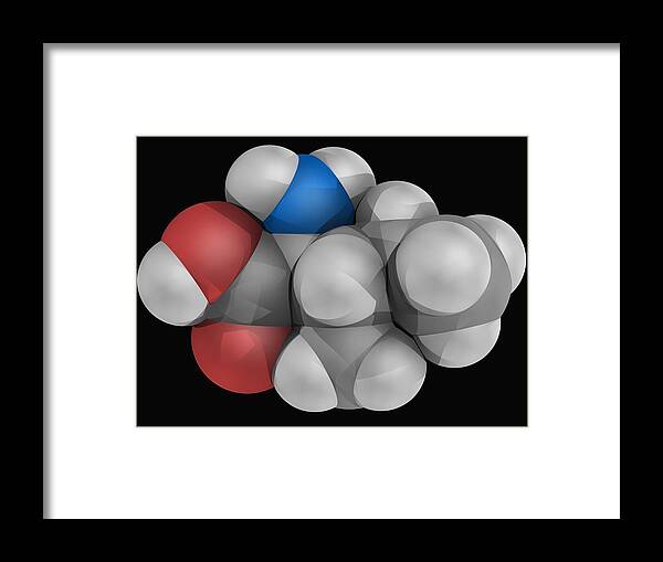 Horizontal Framed Print featuring the digital art Isoleucine Molecule by Laguna Design