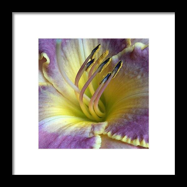 Beautiful Framed Print featuring the photograph It Finally Rained Last Night So We Have by Carla From Central Va Usa