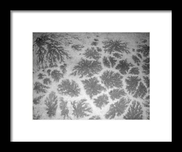 Frost Framed Print featuring the photograph Jack Frost Designs by Randy Rosenberger