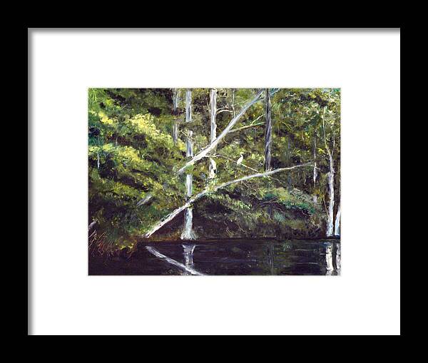 Jackson Bluff Framed Print featuring the painting Jackson Bluff on the Waccamaw River by Phil Burton