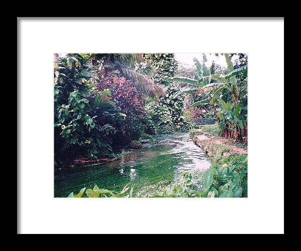 Jamaica Framed Print featuring the photograph Jamaica at it's best by Debbie Levene