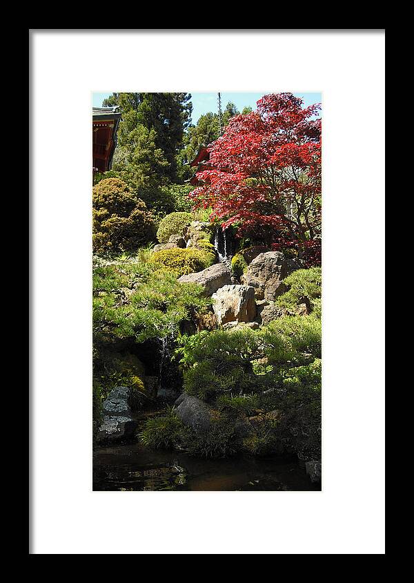 Japanese Framed Print featuring the photograph Japanese Tea Gardens San Francisco by Richard Reeve