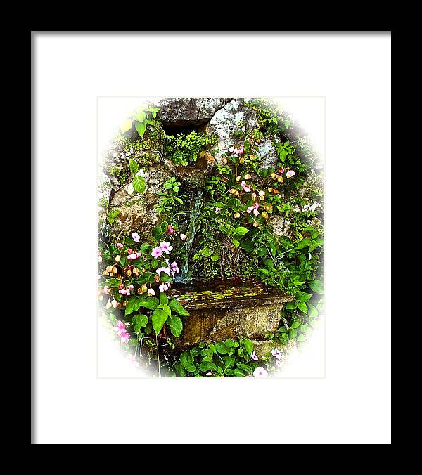 Water Framed Print featuring the photograph Japanese water feature by Jocelyn Kahawai