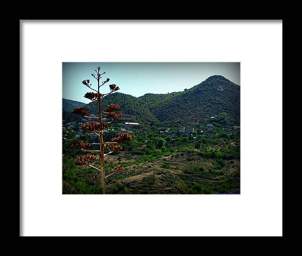 Cleopatra Hill Framed Print featuring the photograph Jerome Century Agave by Aaron Burrows