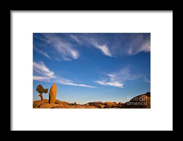 Granite Framed Print featuring the photograph Joshua Tree before sunset by Olivier Steiner