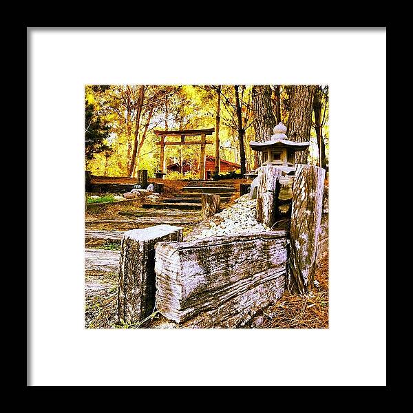 Budismo Framed Print featuring the photograph Juguemos Zen El Bosque by Diego Jolodenco