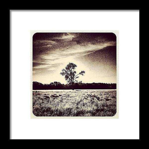Beautiful Framed Print featuring the photograph Just A Tree by Wilbert Claessens
