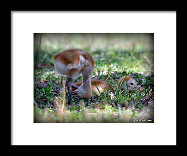 Wildlife Framed Print featuring the painting Just checking by AnnaJo Vahle