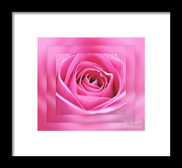 Photography Framed Print featuring the photograph Just Pink by Kaye Menner