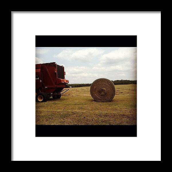 Round Bale Framed Print featuring the photograph Kick'n Em Out by Patsy Smith
