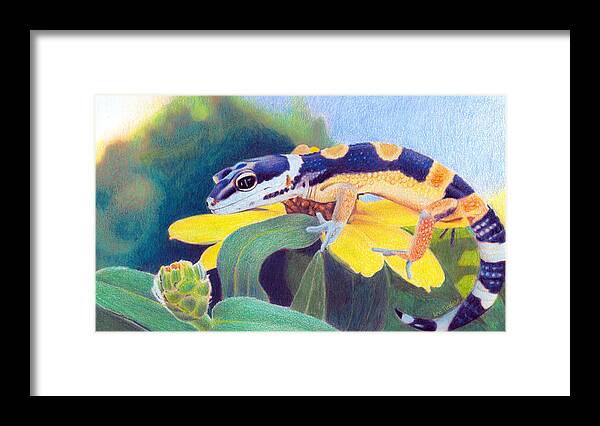 Gecko Framed Print featuring the drawing Kiiro The Gecko by Ana Tirolese