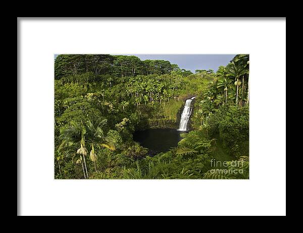 Photography Framed Print featuring the photograph Kulaniapia Falls by Sean Griffin