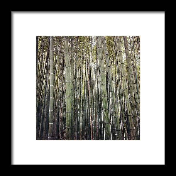 Kyoto Framed Print featuring the photograph #kyoto #arashiyama by Christopher Yip
