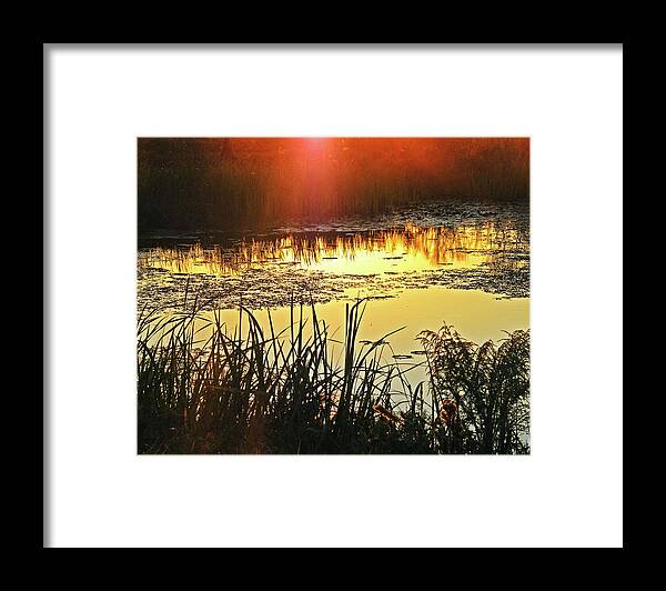 Lacassine Framed Print featuring the photograph Lacassine Sundown by Lizi Beard-Ward