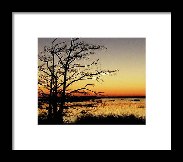 Lacasinne Nwr Framed Print featuring the photograph Lacassine sunset by Lizi Beard-Ward