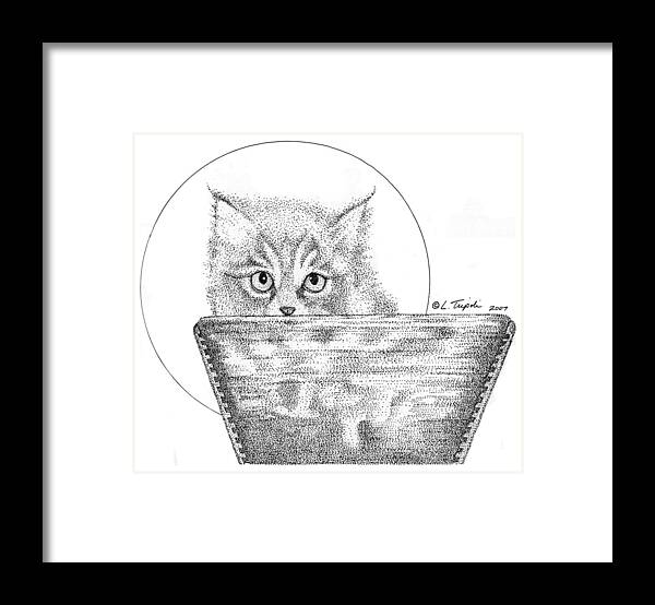 Cat Framed Print featuring the drawing Gracie by Lawrence Tripoli