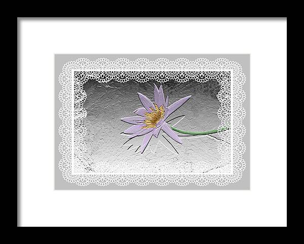 Water Lily Framed Print featuring the photograph Lacy Lily by Rosalie Scanlon