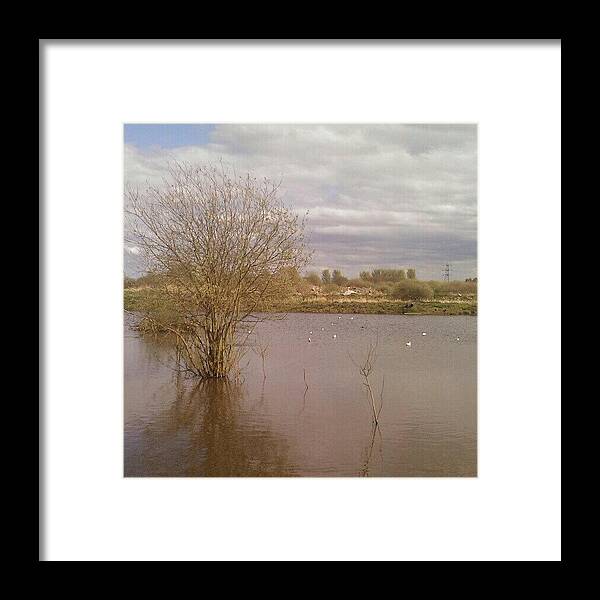 Instaprints Framed Print featuring the photograph Lake #instaprints by Abbie Shores