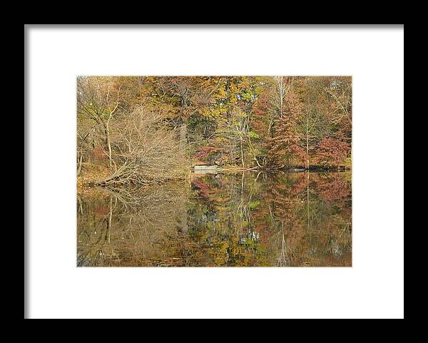  Framed Print featuring the photograph Lakeside Reflections by Sarah McKoy
