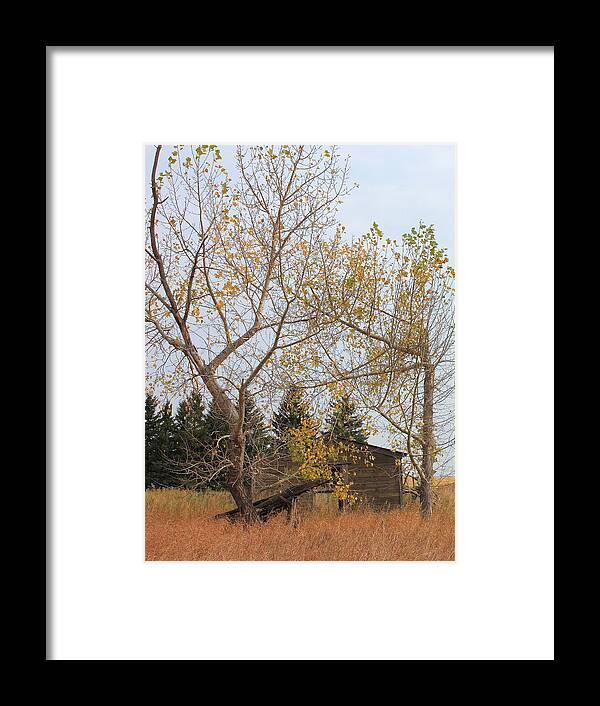 abandoned Farm Buildings Framed Print featuring the photograph Land Reclamation by Jim Sauchyn