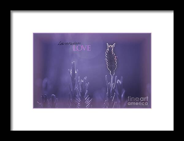 Lights Framed Print featuring the photograph Lavender Love by Vicki Ferrari