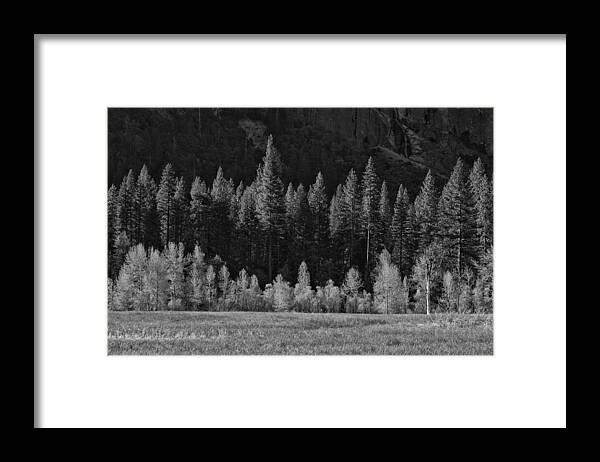 Trees Framed Print featuring the photograph Layers of Yosemite by Rick Berk