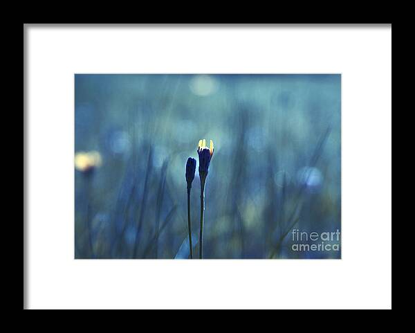 Blue Framed Print featuring the photograph Le Centre d'Attention by Aimelle Ml