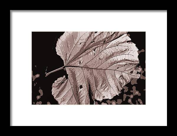 Leaves Framed Print featuring the photograph Leaf Fall by Burney Lieberman