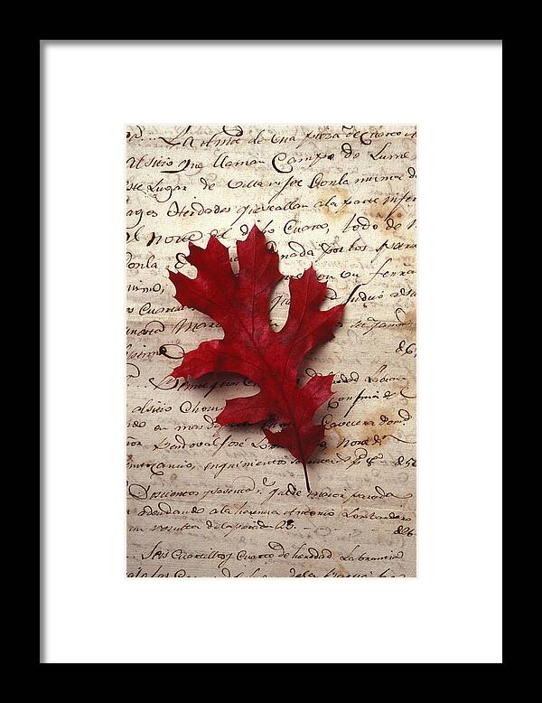 Leaf Framed Print featuring the photograph Leaf on letter by Garry Gay
