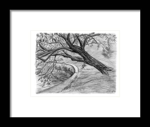 Charcoal Framed Print featuring the drawing Leaning Tree by Adam Long