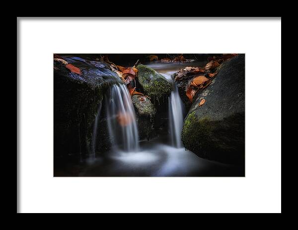 Autumn Framed Print featuring the photograph Leaves along small Stream 1 by Steve Hurt