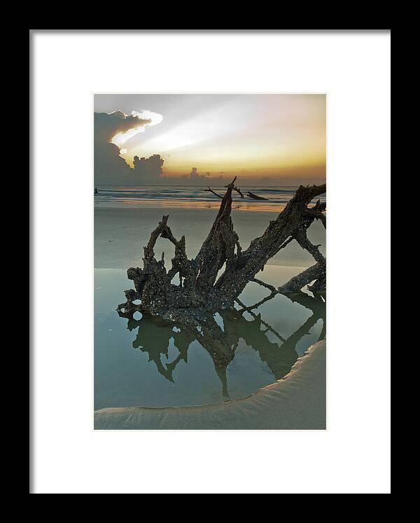 Wood Framed Print featuring the photograph Left Behind by Francis Trudeau