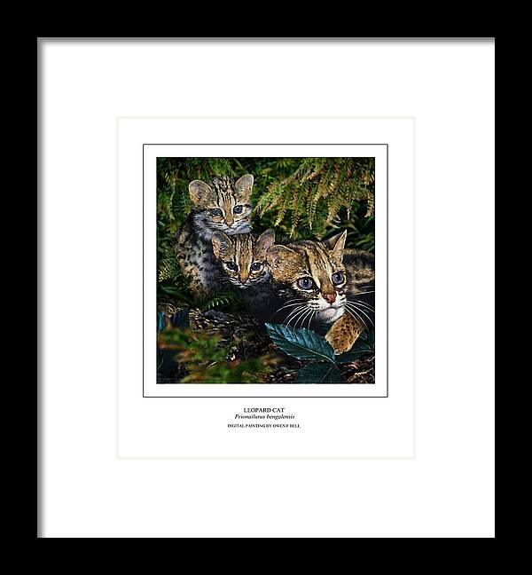 Leopard Cat Framed Print featuring the digital art LEOPARD CAT Prionailurus bengalensis by Owen Bell