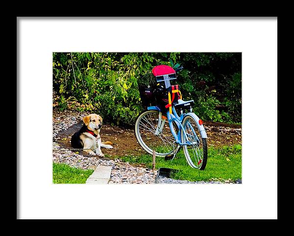  Framed Print featuring the photograph Lets Go by Burney Lieberman