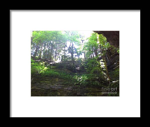Forest Framed Print featuring the photograph Light of Day by Valerie Shaffer