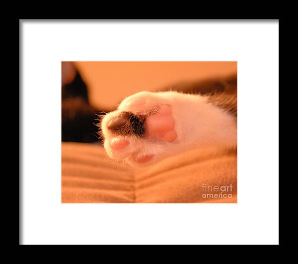 Foot Framed Print featuring the photograph Little Foot by Melissa Jacobsen