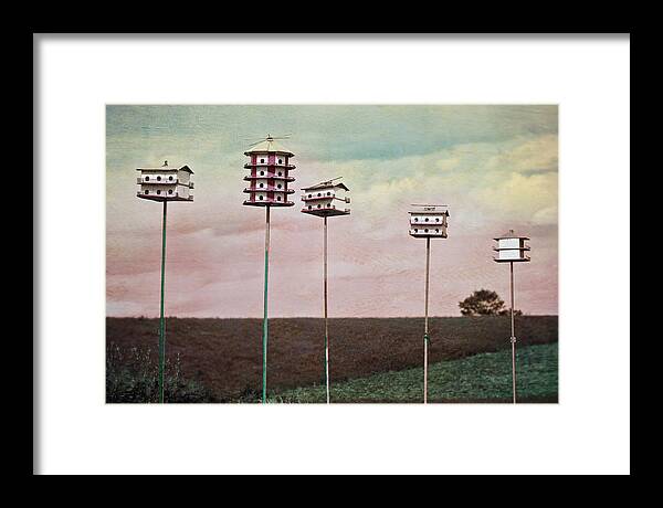 Birdhouses Framed Print featuring the photograph Little Houses by Stacey Granger