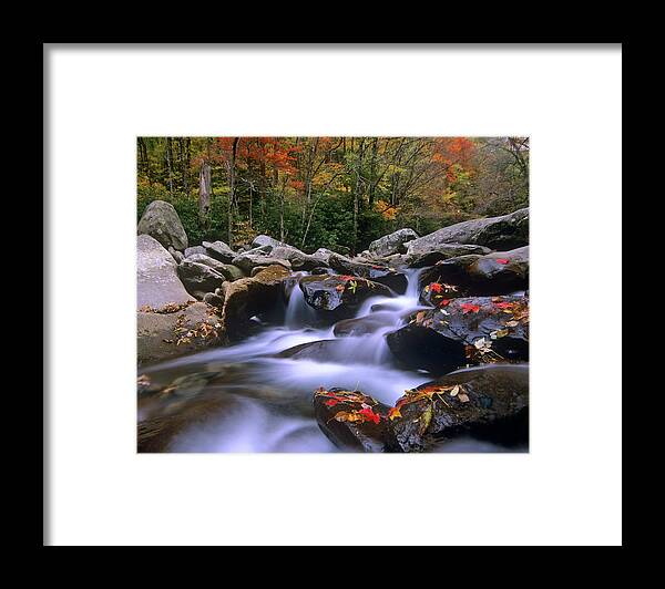 00176692 Framed Print featuring the photograph Little Pigeon River Cascading Among by Tim Fitzharris