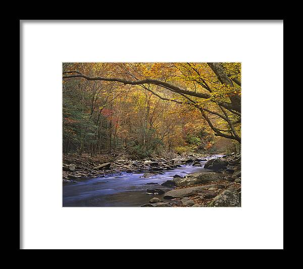 00177078 Framed Print featuring the photograph Little River Flowing Through Autumn by Tim Fitzharris