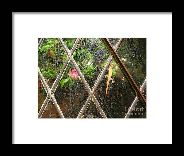 Lizard Framed Print featuring the photograph Lizard with Flower by Nora Martinez