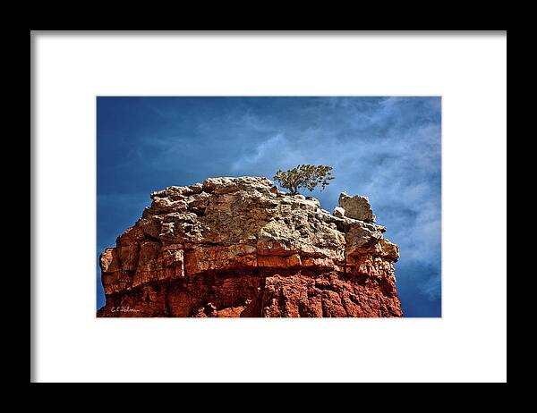 Rock Framed Print featuring the photograph Lofty Solitude by Christopher Holmes