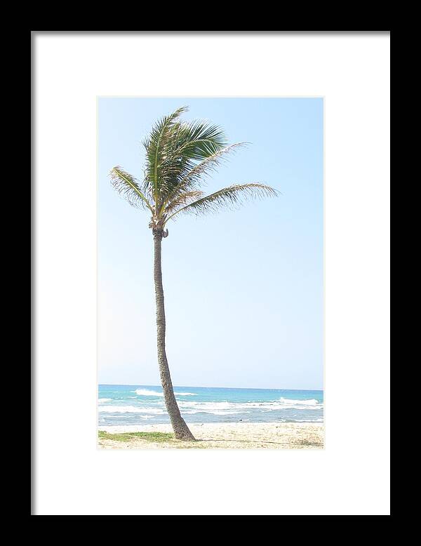 Palm Framed Print featuring the photograph Lonely Palm by Anthony Trillo