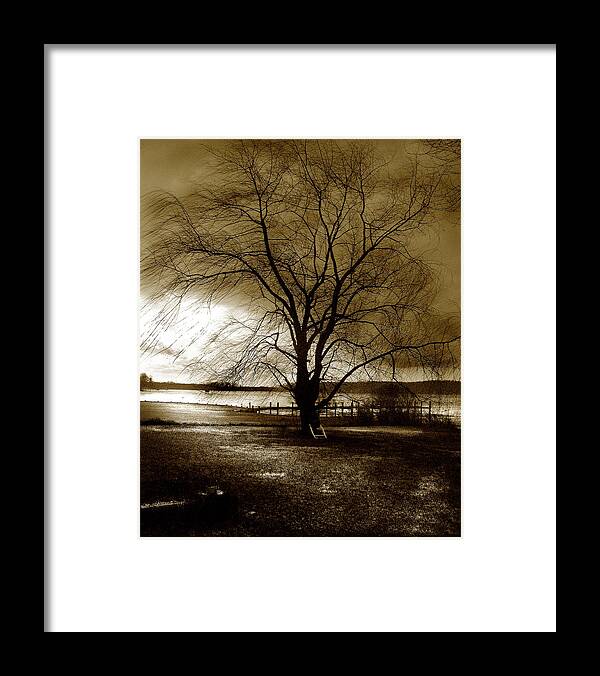 Tree Framed Print featuring the photograph Lonely Willow by Marilyn Marchant