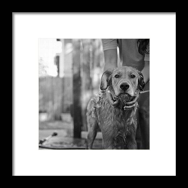  Framed Print featuring the photograph Look by Victoria Haas