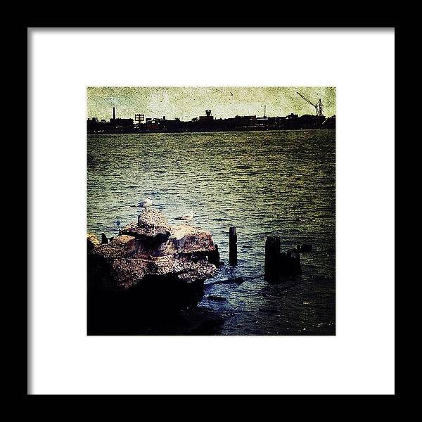 Navema Framed Print featuring the photograph Looking East by Natasha Marco