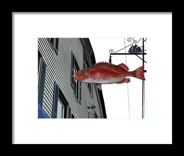 Fish Framed Print featuring the photograph Looking In by Louise Peardon